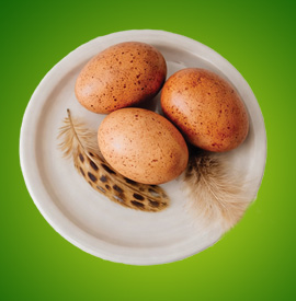 Desi Eggs